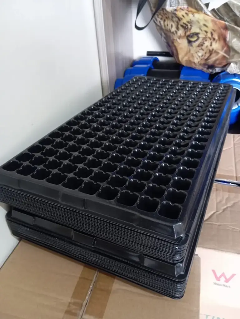 SEEDLING TRAYS 28,50,66,128,160,200, 288 HOLES